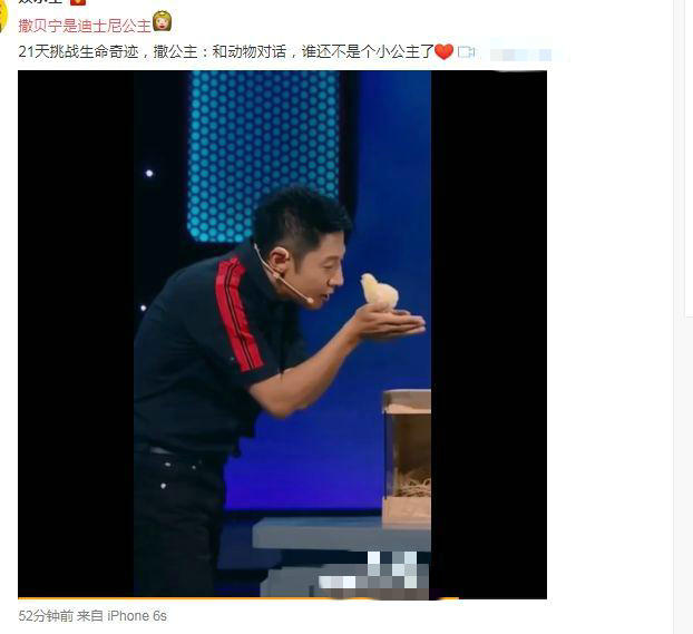 撒贝宁是迪士尼公主?网友:看来这个身份瞒不住了