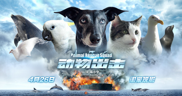 《动物出击》曝萌宠集结版海报  新类型萌宠历险大电影预热五一黄金档